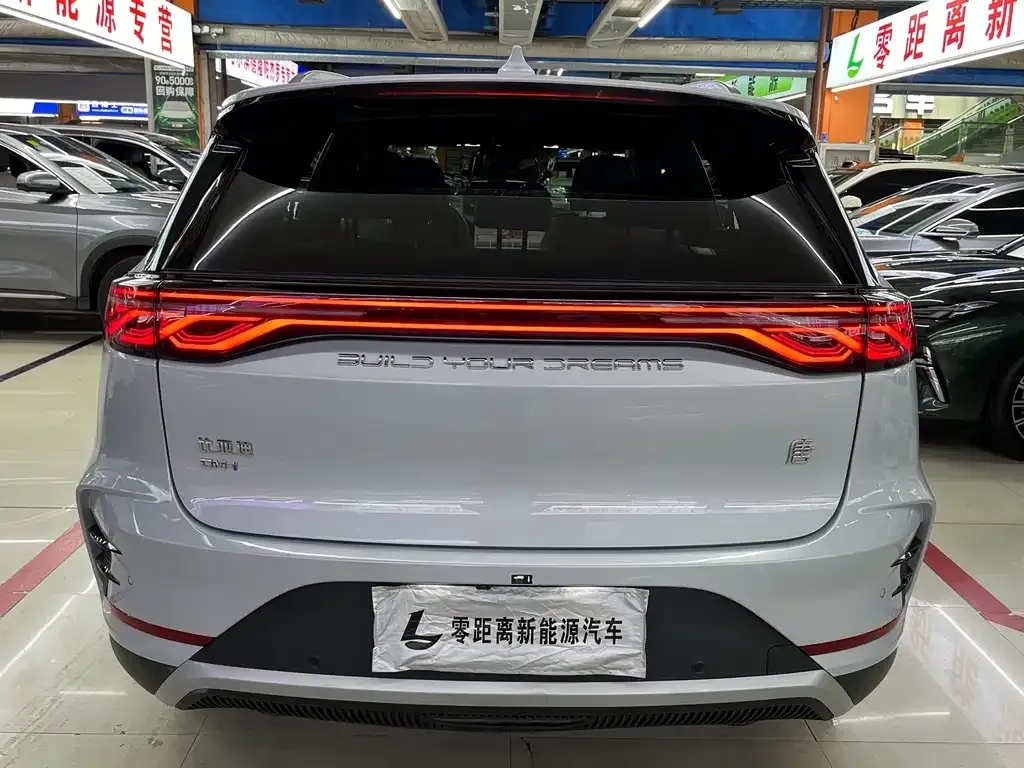 BYD Tang New Energy — фото 10