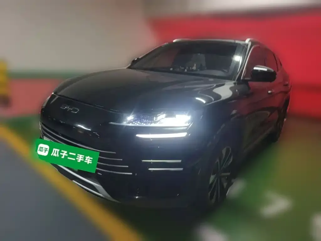 BYD PLUS New Energy — фото 1