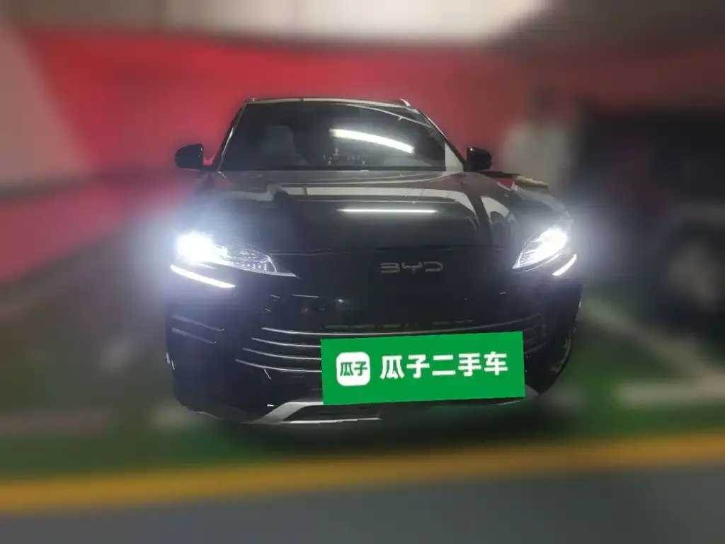 BYD PLUS New Energy — фото 6