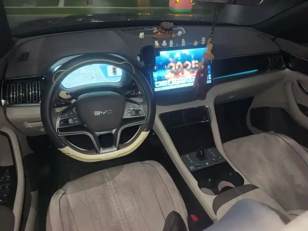BYD PLUS New Energy — фото 10
