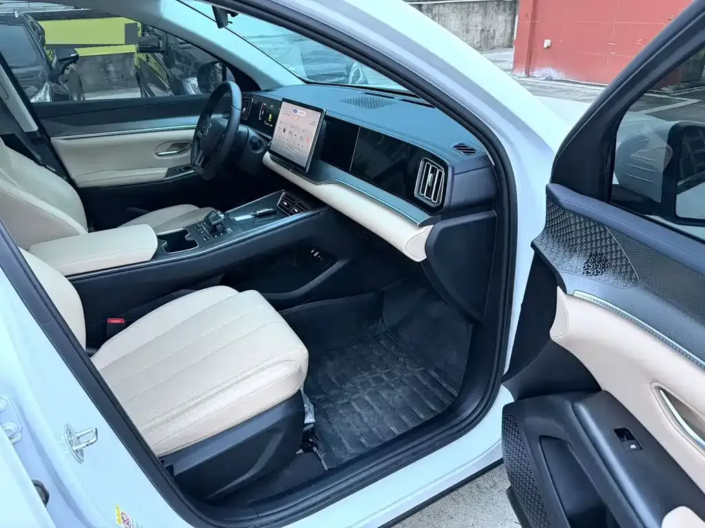 BYD Pro New Energy 2025 из CN, фото 2