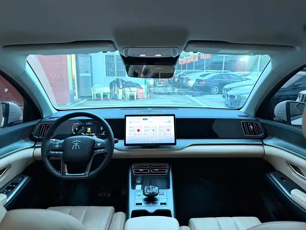 BYD Pro New Energy 2025 из CN, фото 3