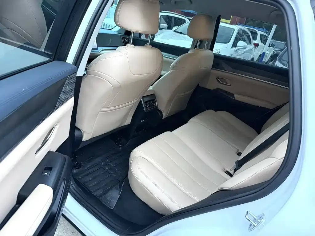 BYD Pro New Energy 2025 из CN, фото 4