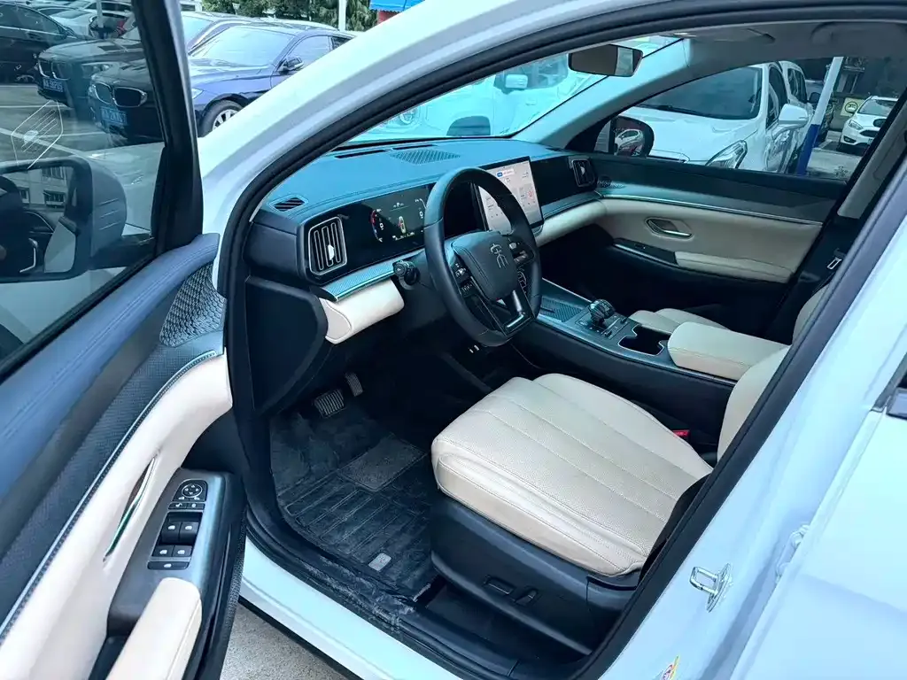 BYD Pro New Energy 2025 из CN, фото 6