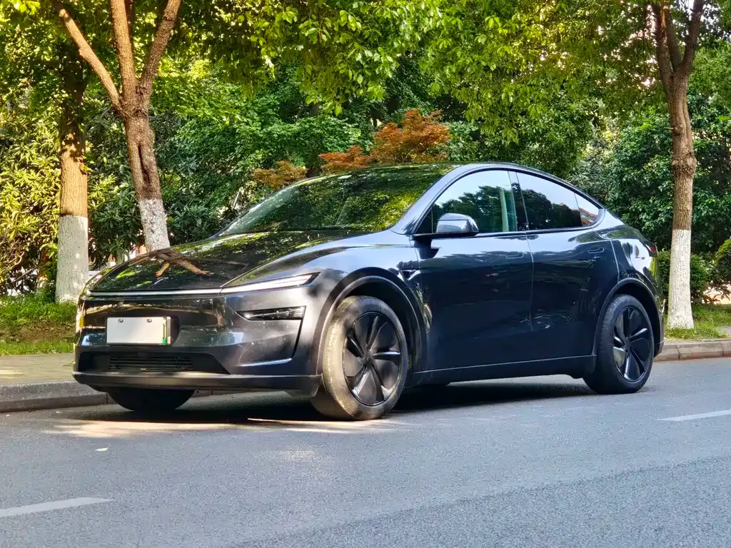 Tesla Model Y — фото 1