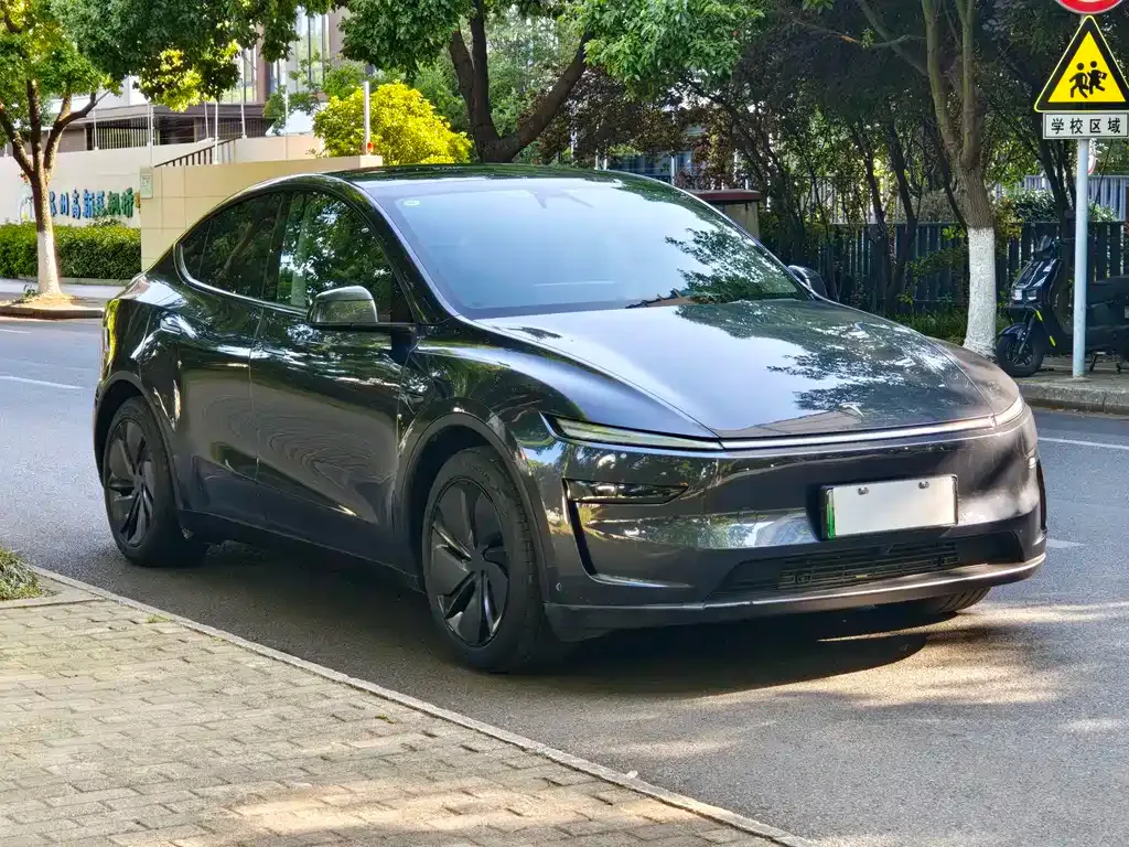 Tesla Model Y — фото 10