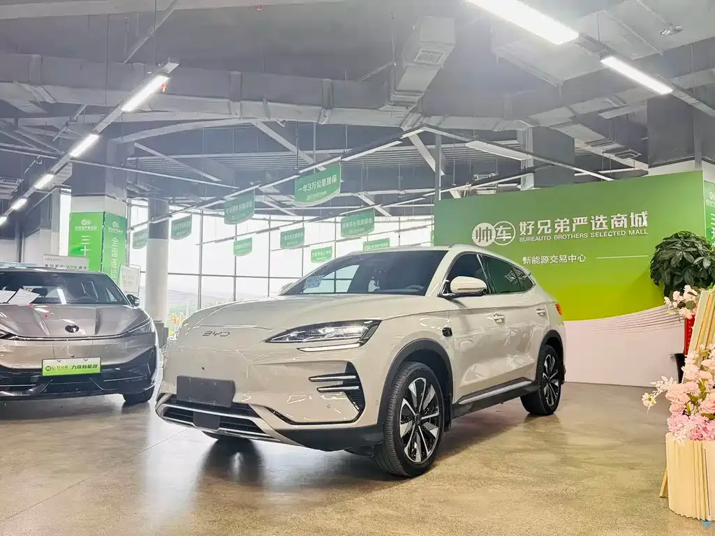 BYD PLUS New Energy — фото 1
