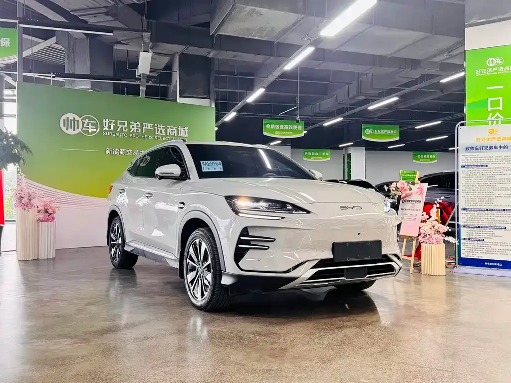 BYD PLUS New Energy — фото 10