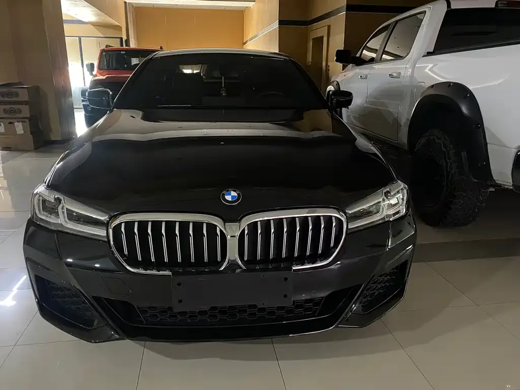 BMW 5 Series 2022 из CN, фото 8