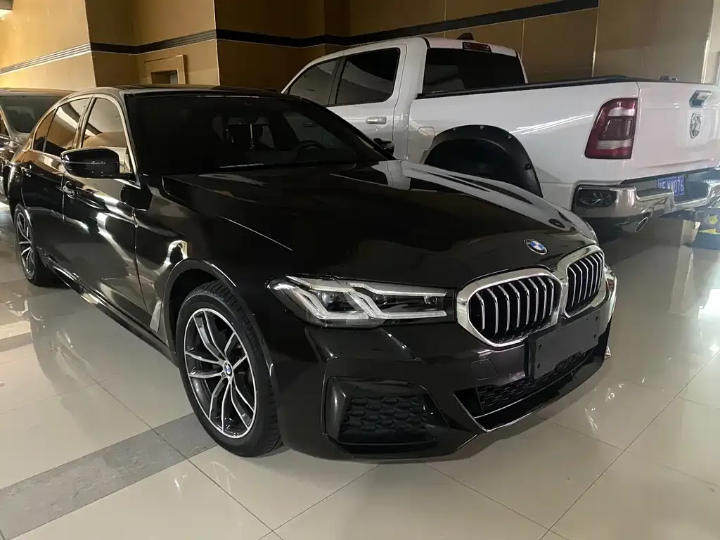 BMW 5 Series 2022 из CN, фото 4
