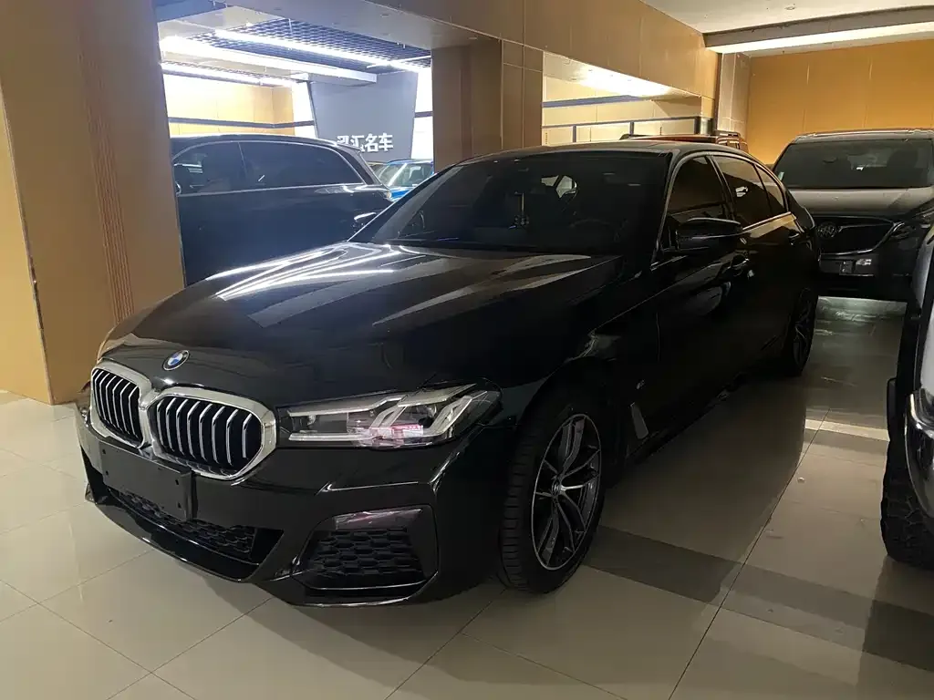 BMW 5 Series 2022 из CN, фото 2
