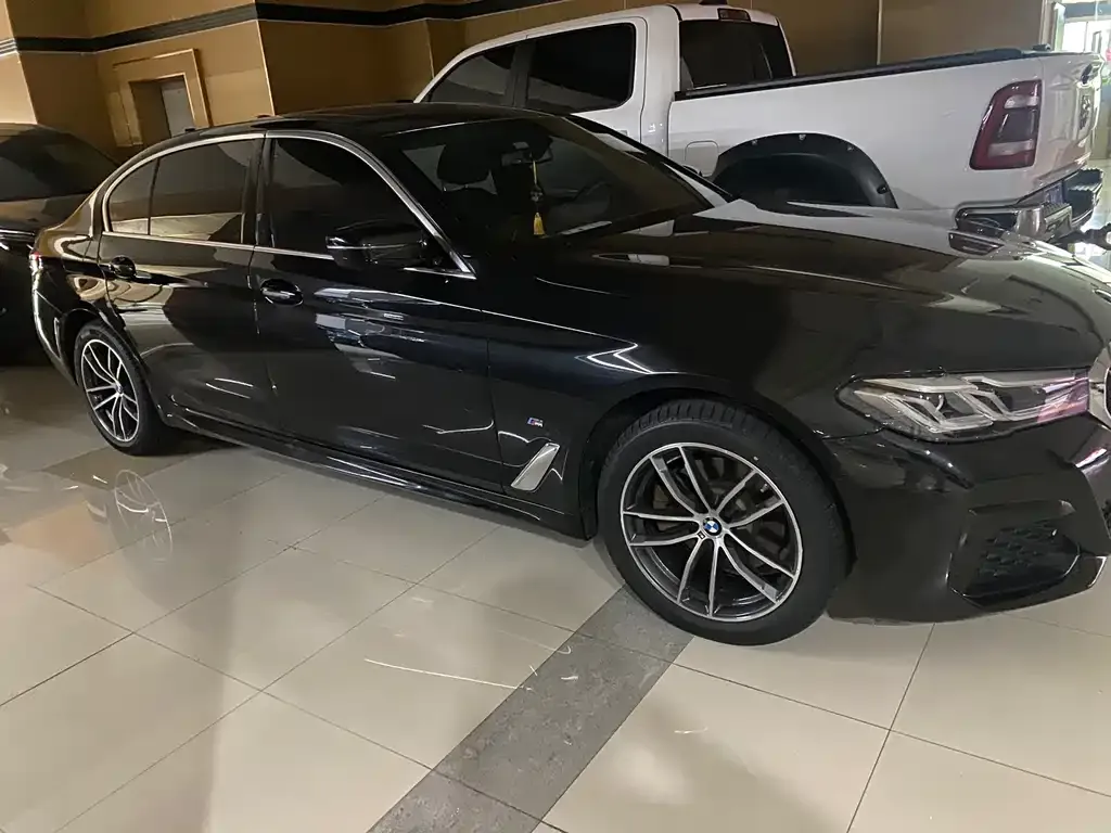 BMW 5 Series 2022 из CN, фото 10