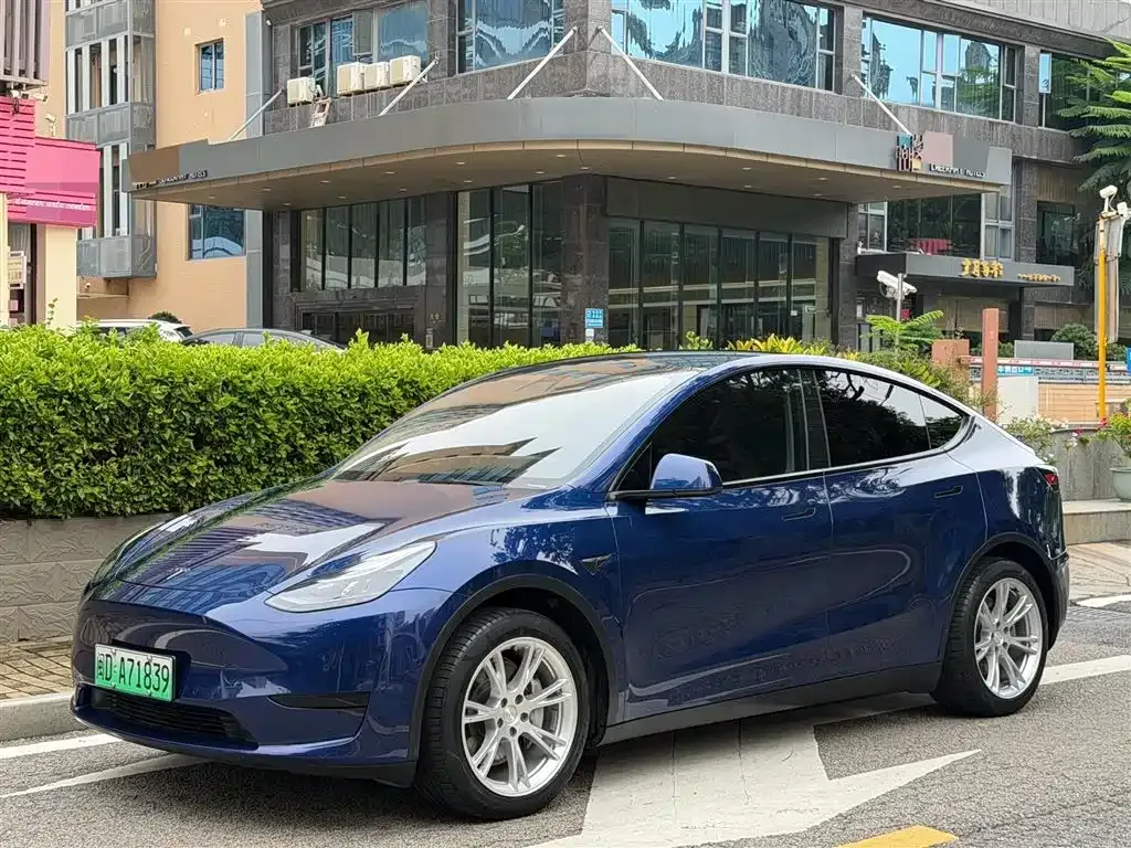 Tesla Model Y — фото 1
