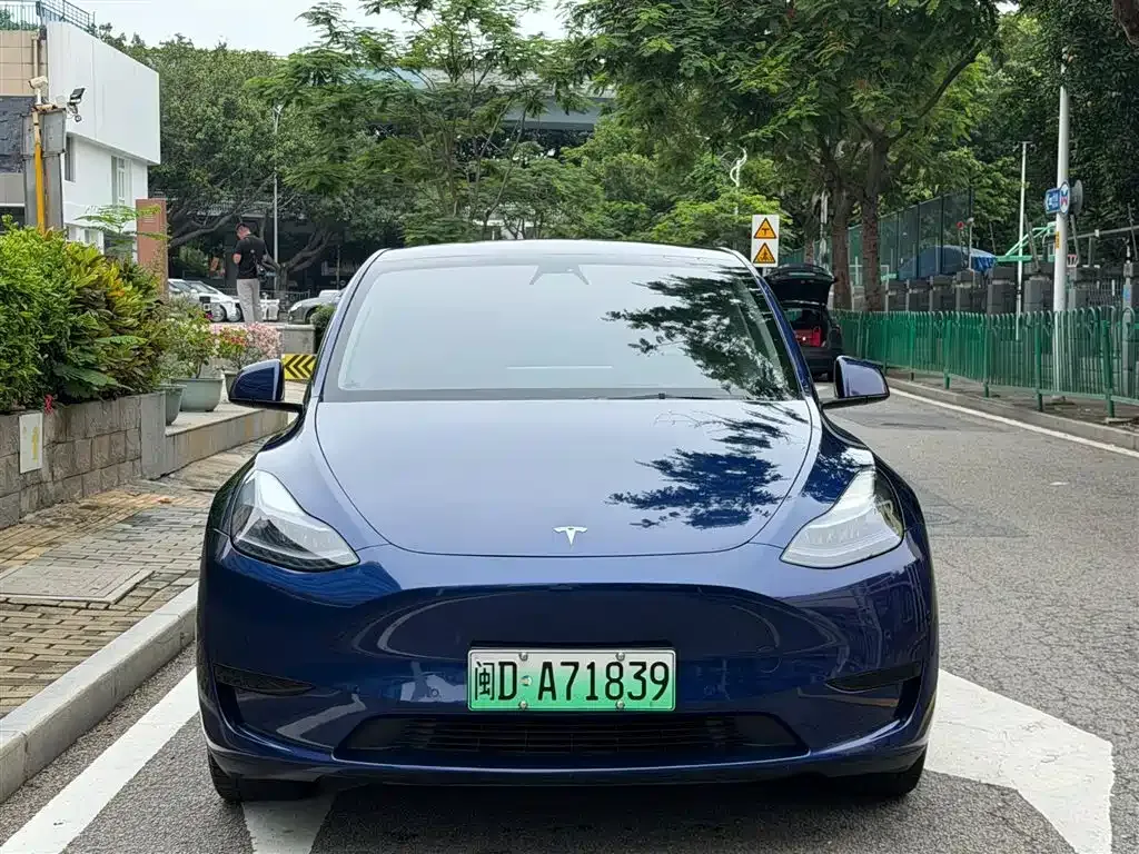 Tesla Model Y — фото 10