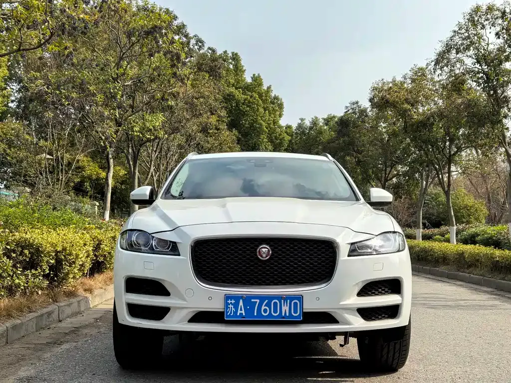 Jaguar F-PACE 2021 из CN, фото 8