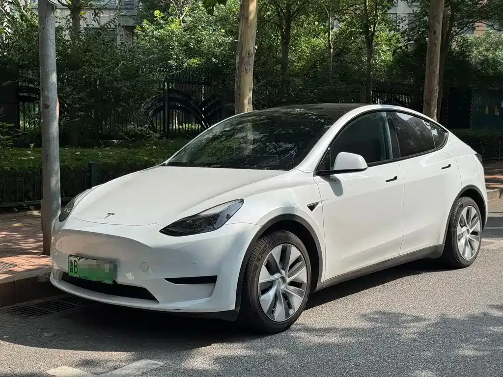 Tesla Model Y — фото 1
