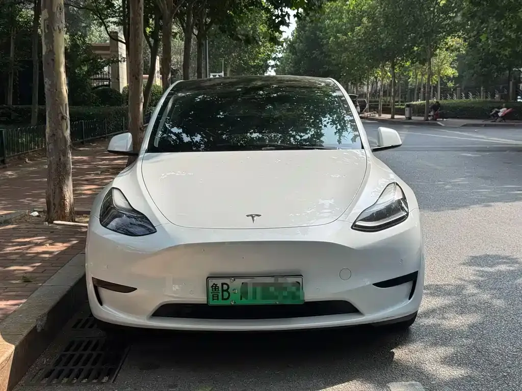 Tesla Model Y — фото 8