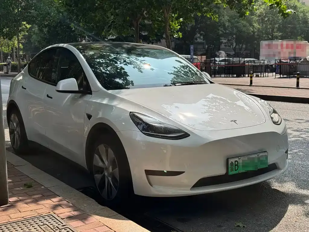 Tesla Model Y — фото 3