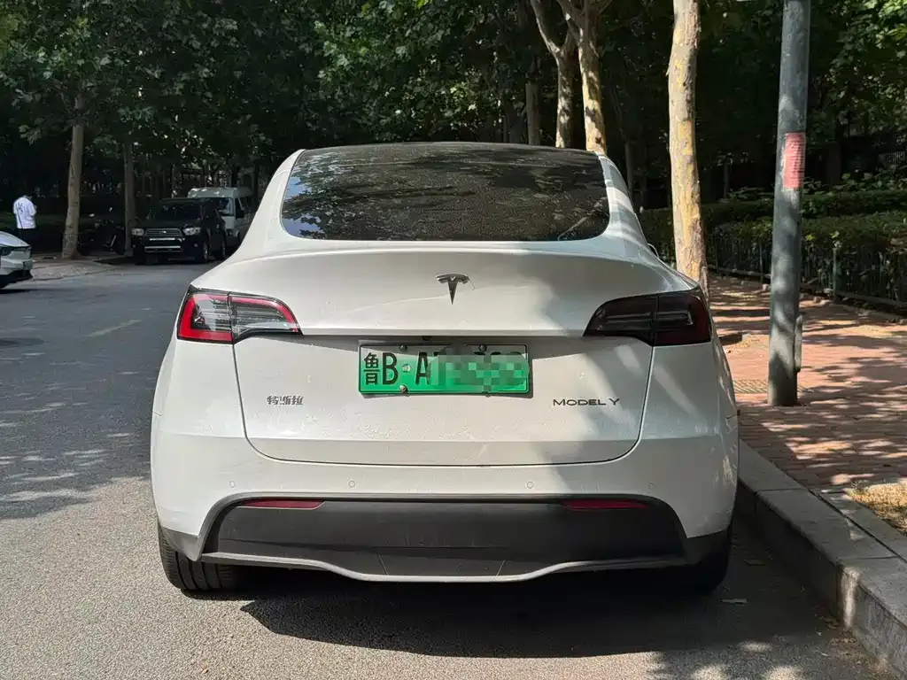 Tesla Model Y — фото 5