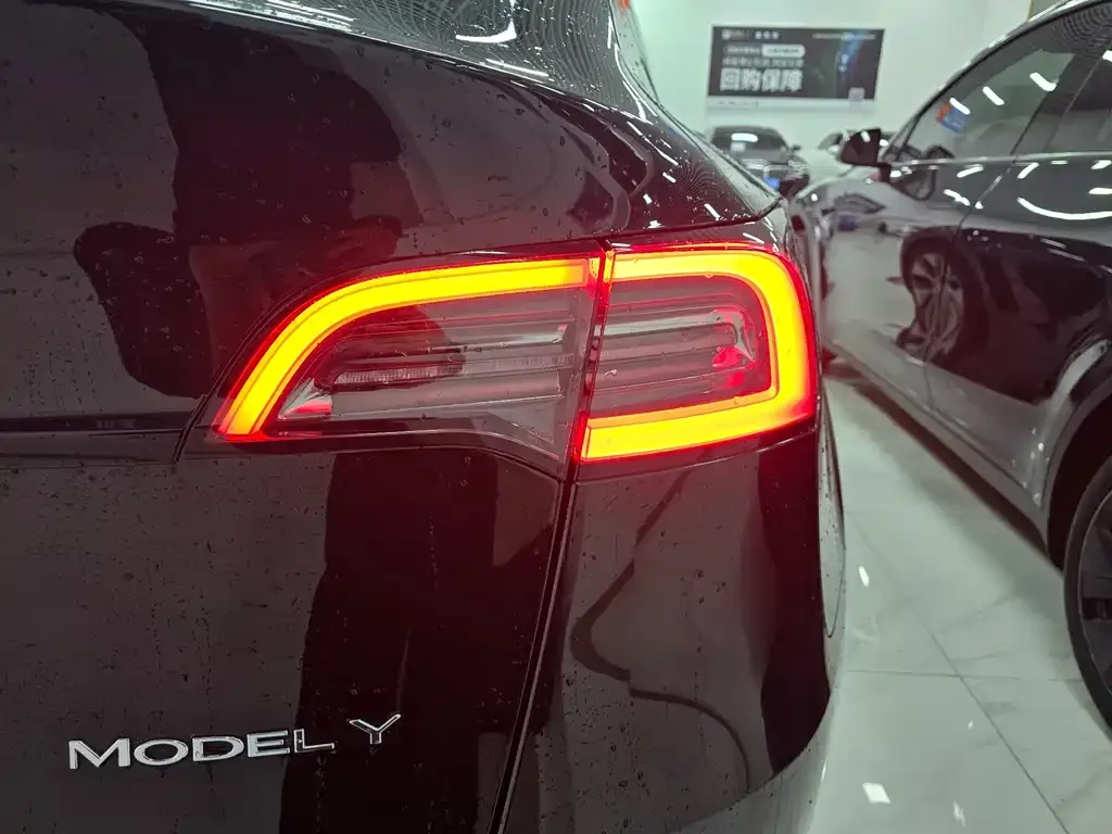 Tesla Model Y — фото 10