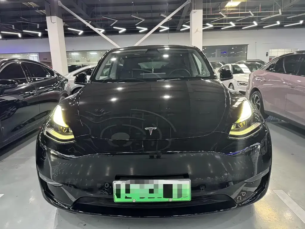 Tesla Model Y 2021 из CN, фото 9