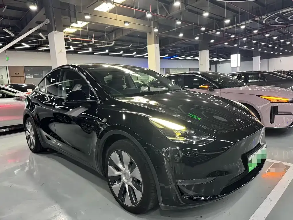 Tesla Model Y 2021 из CN, фото 10