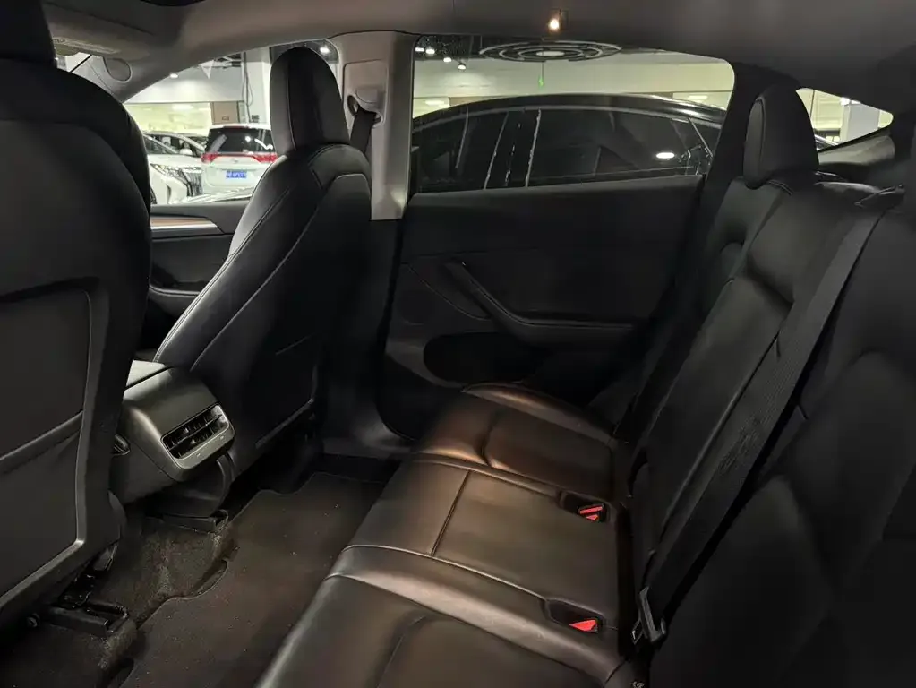 Tesla Model Y 2021 из CN, фото 5