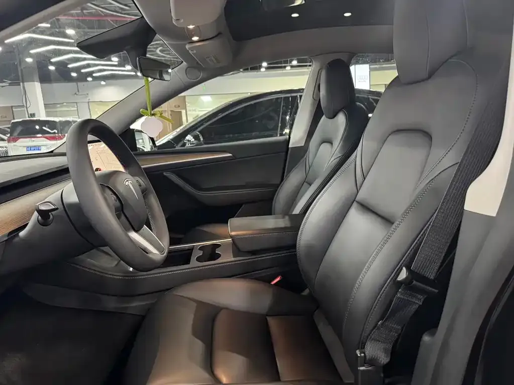 Tesla Model Y 2021 из CN, фото 8
