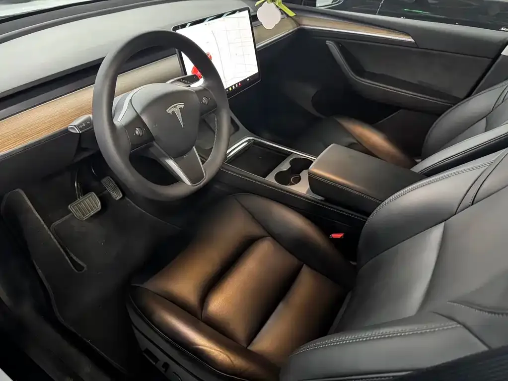 Tesla Model Y 2021 из CN, фото 6