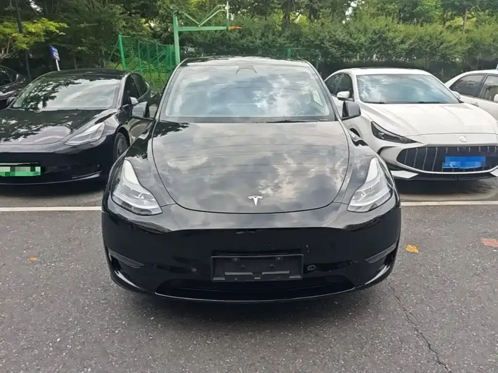 Tesla Model Y — фото 2
