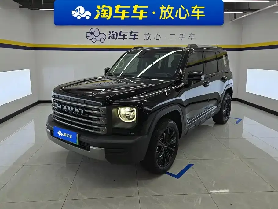 Haval Menglong New Energy — фото 1