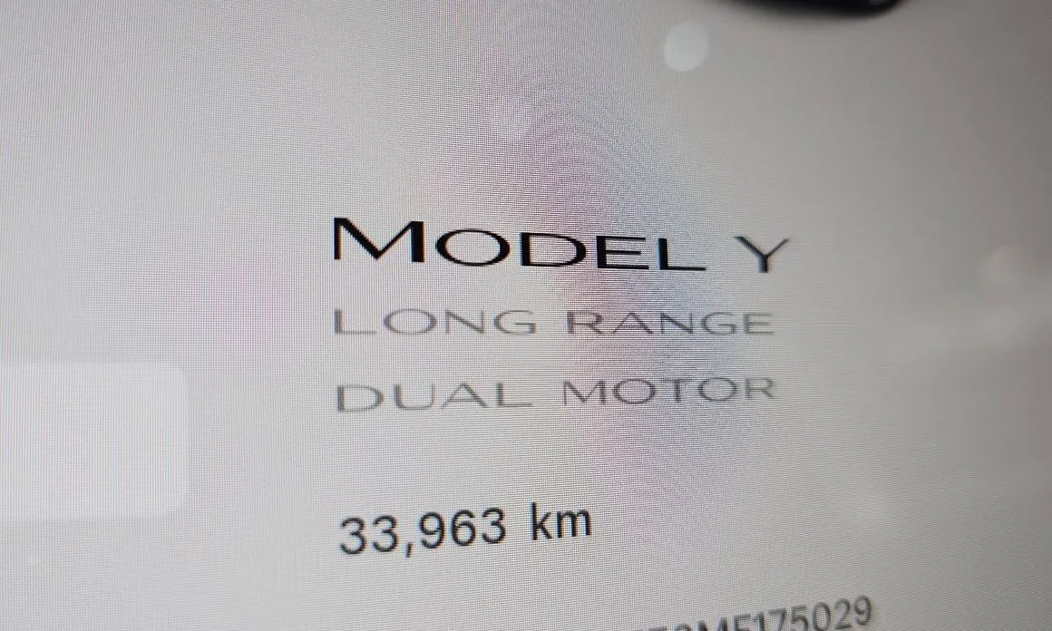 Tesla Model Y — фото 5