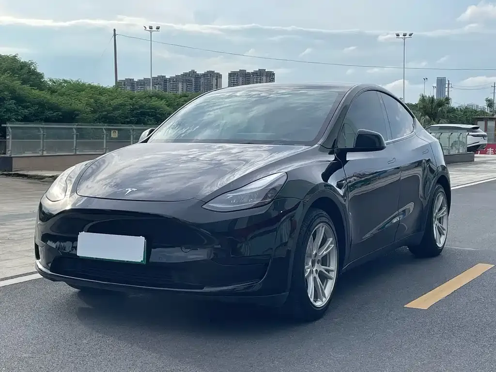 Tesla Model Y — фото 1
