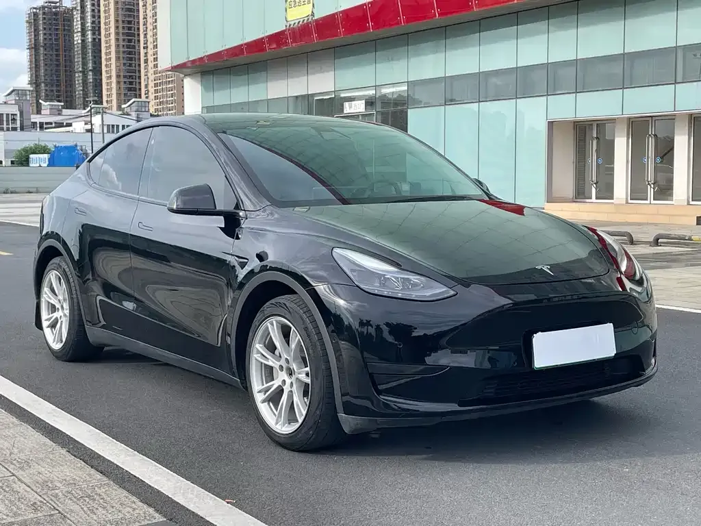 Tesla Model Y — фото 10