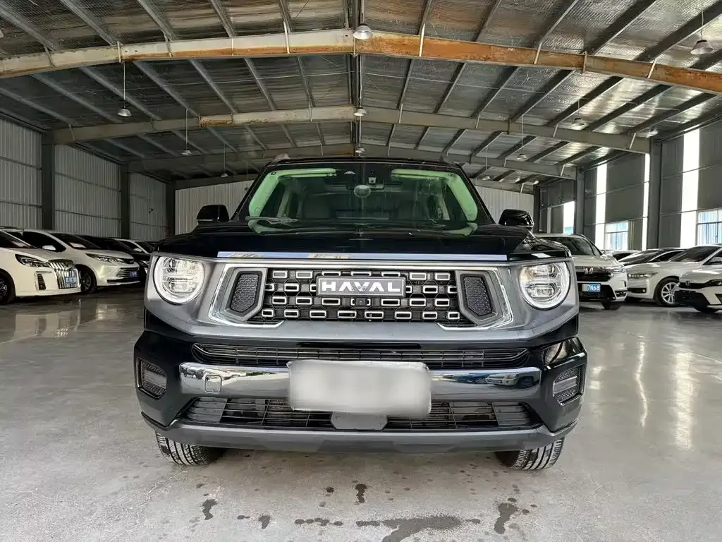 Haval H7 (Big Dog Plus) — фото 9