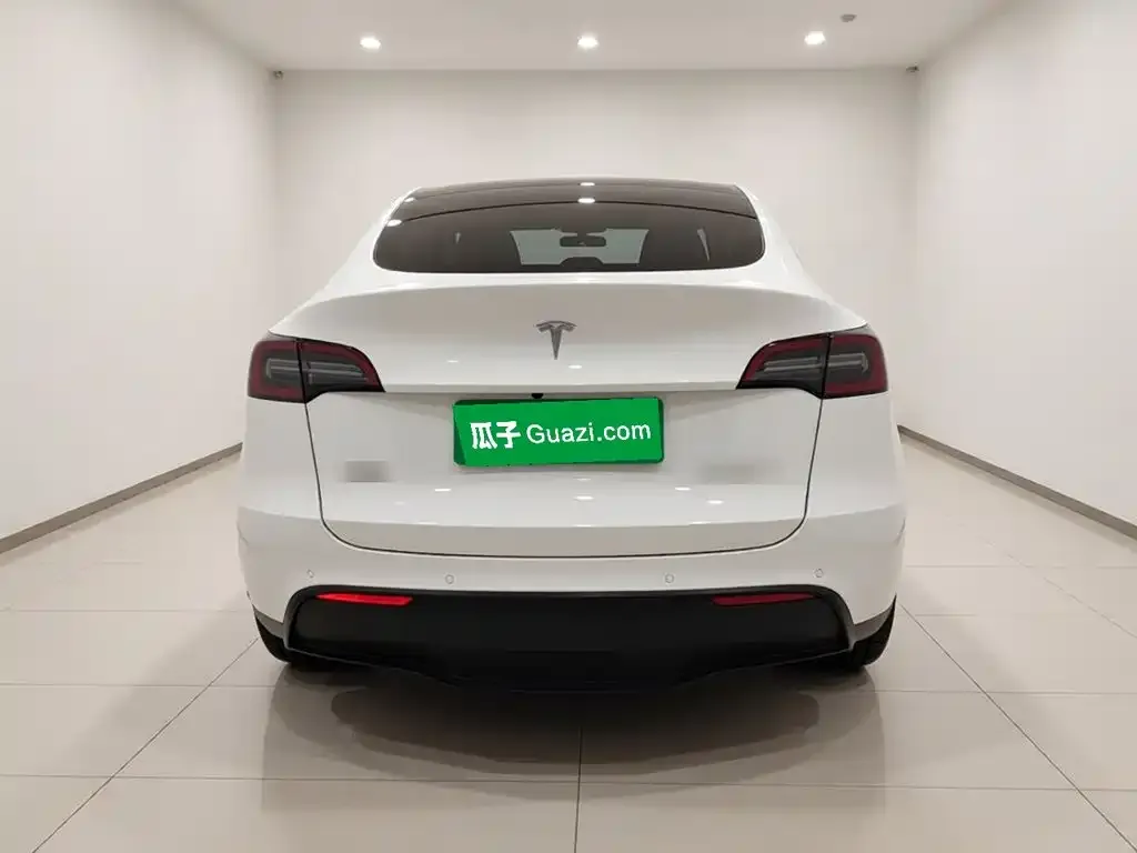 Tesla Model Y — фото 2