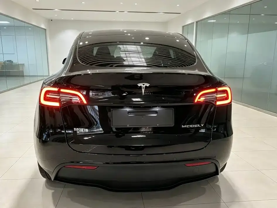 Tesla Model Y — фото 10