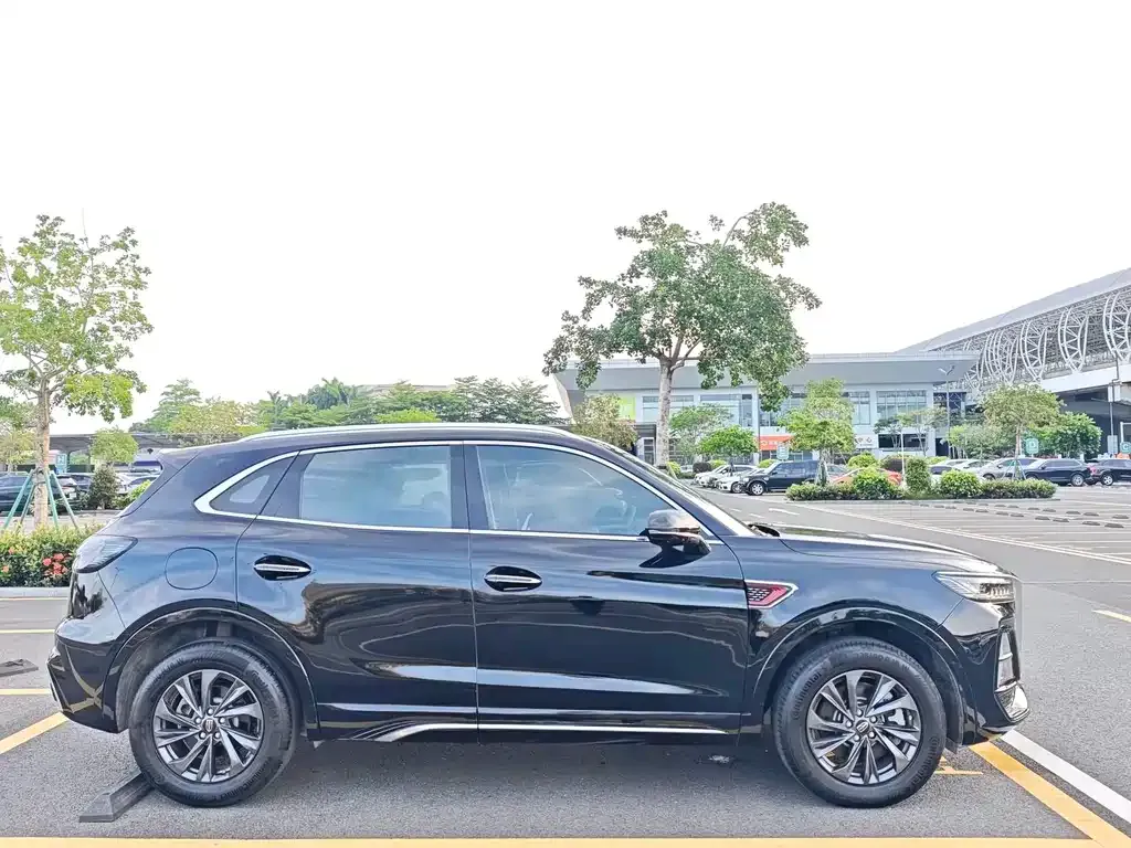 Hongqi HS5 2024 из CN, фото 9
