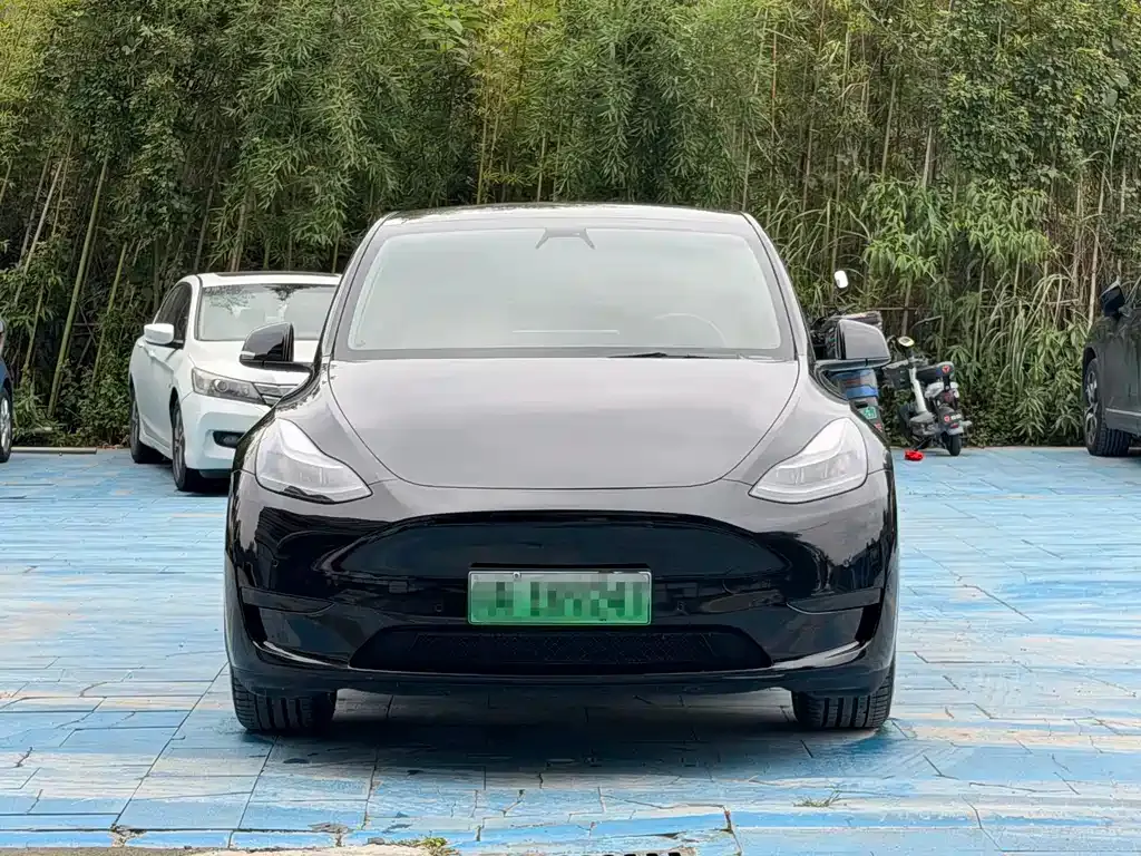 Tesla Model Y — фото 10