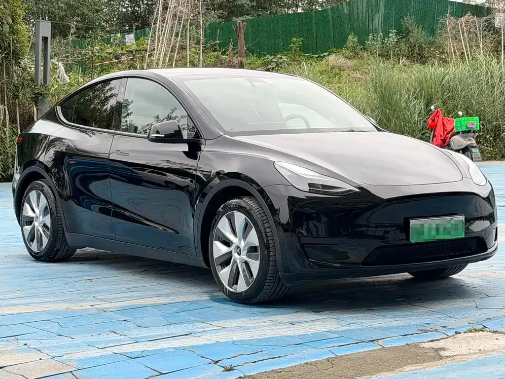 Tesla Model Y — фото 8