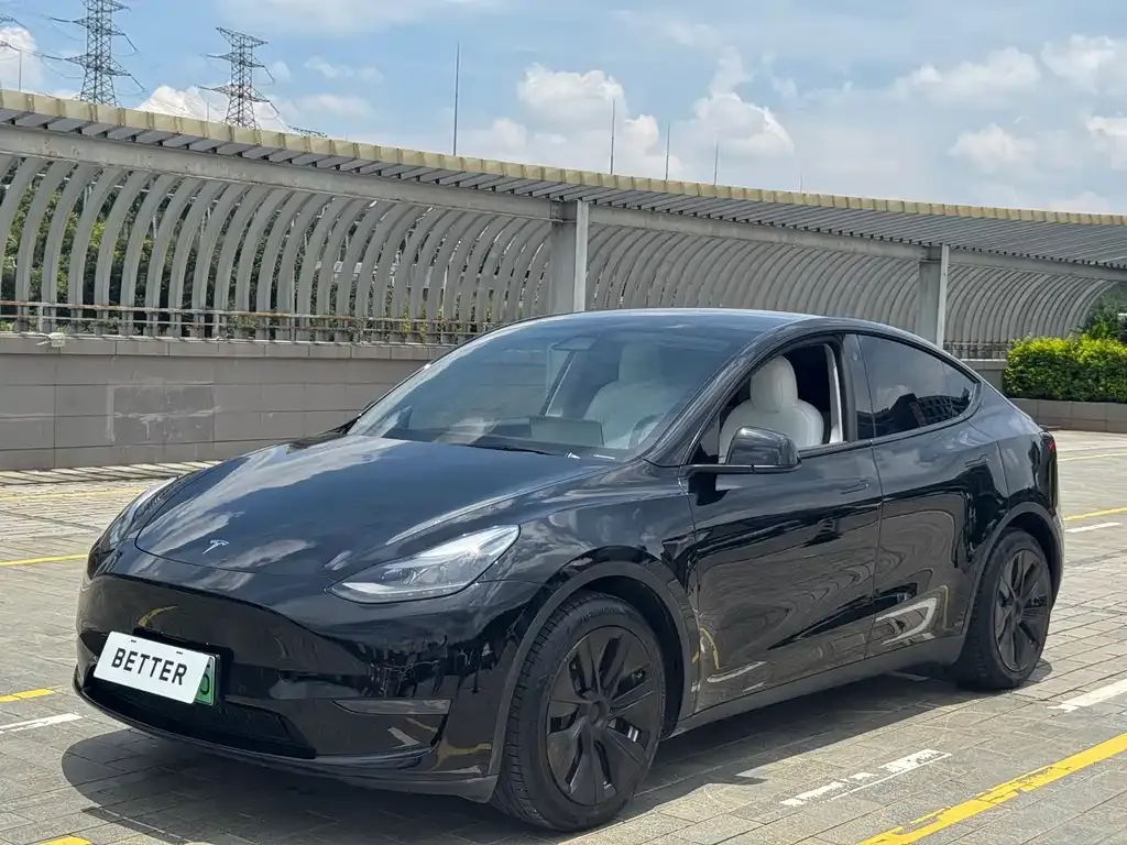 Tesla Model Y — фото 1