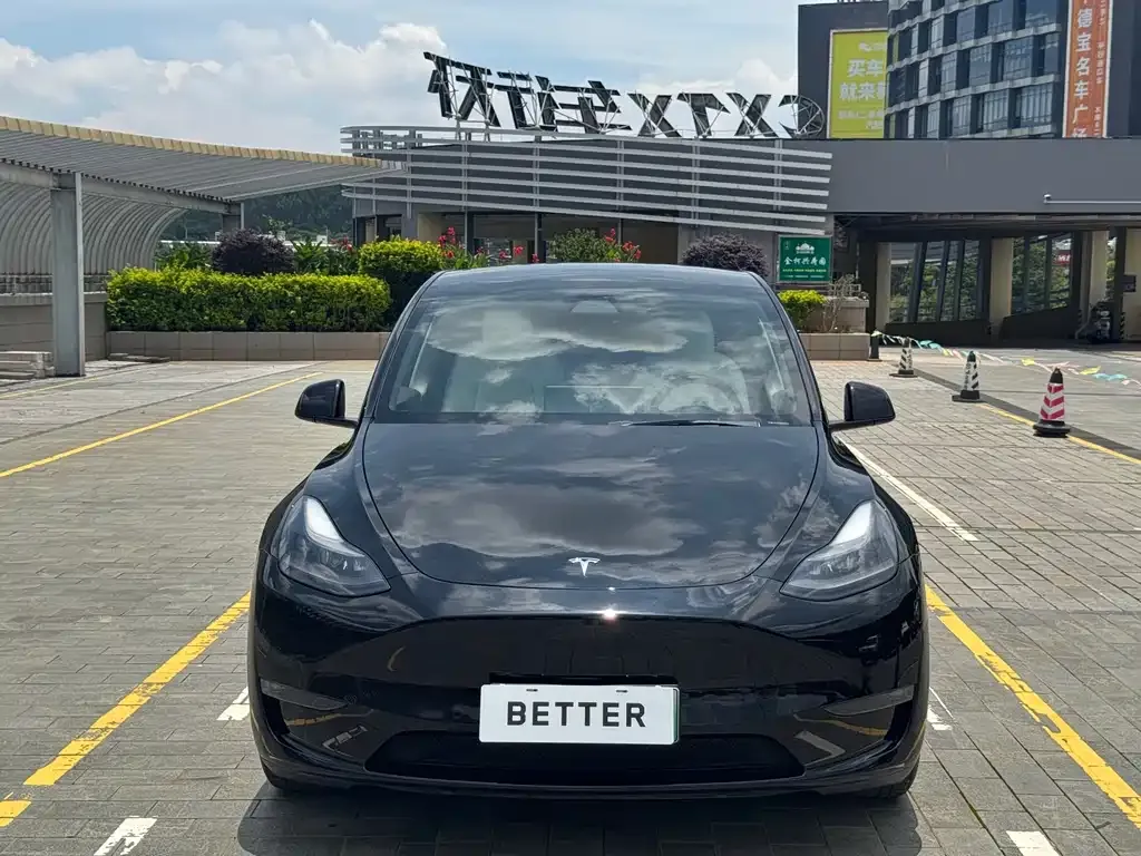 Tesla Model Y — фото 2
