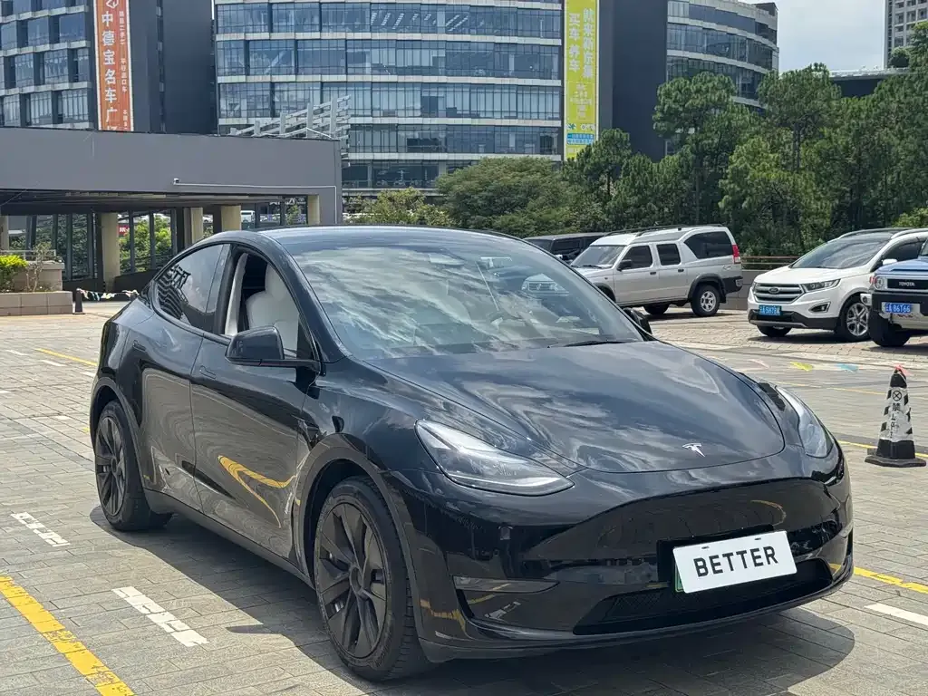 Tesla Model Y — фото 8