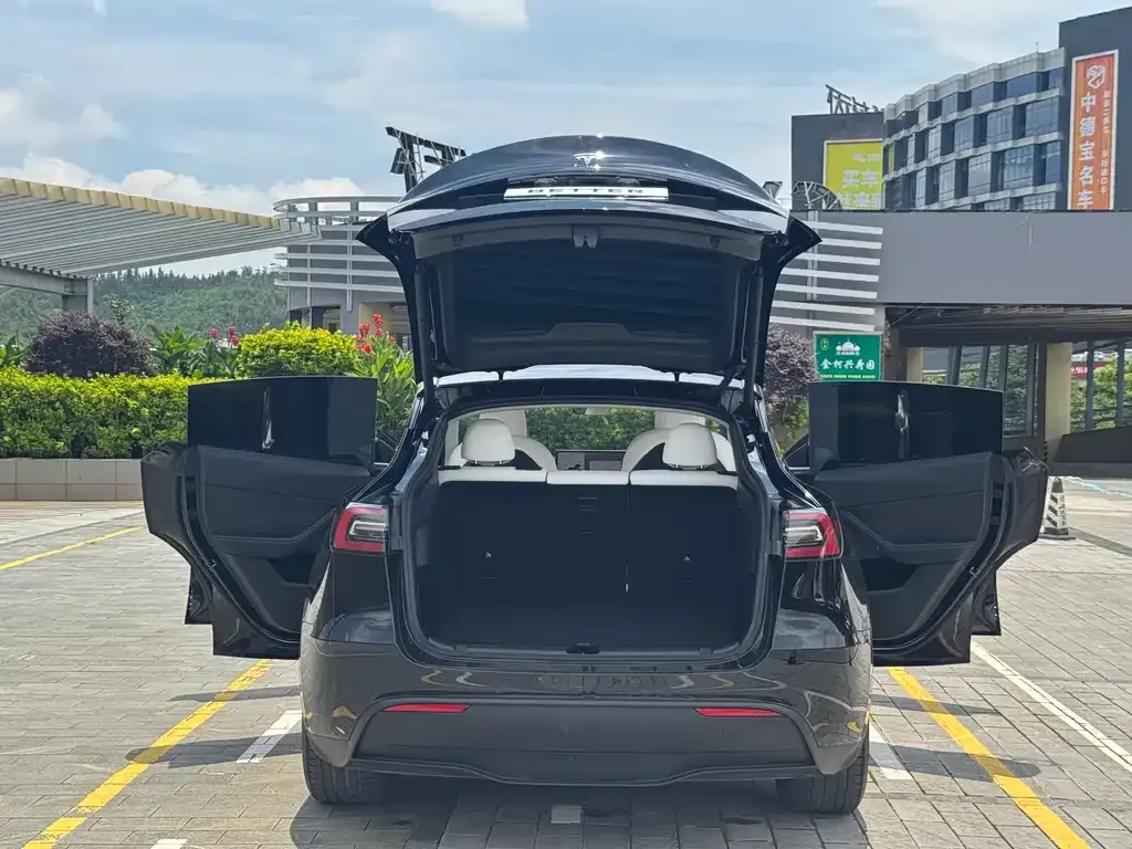 Tesla Model Y — фото 10