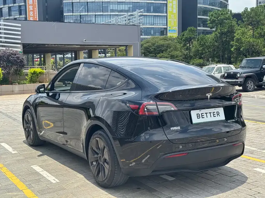 Tesla Model Y — фото 9