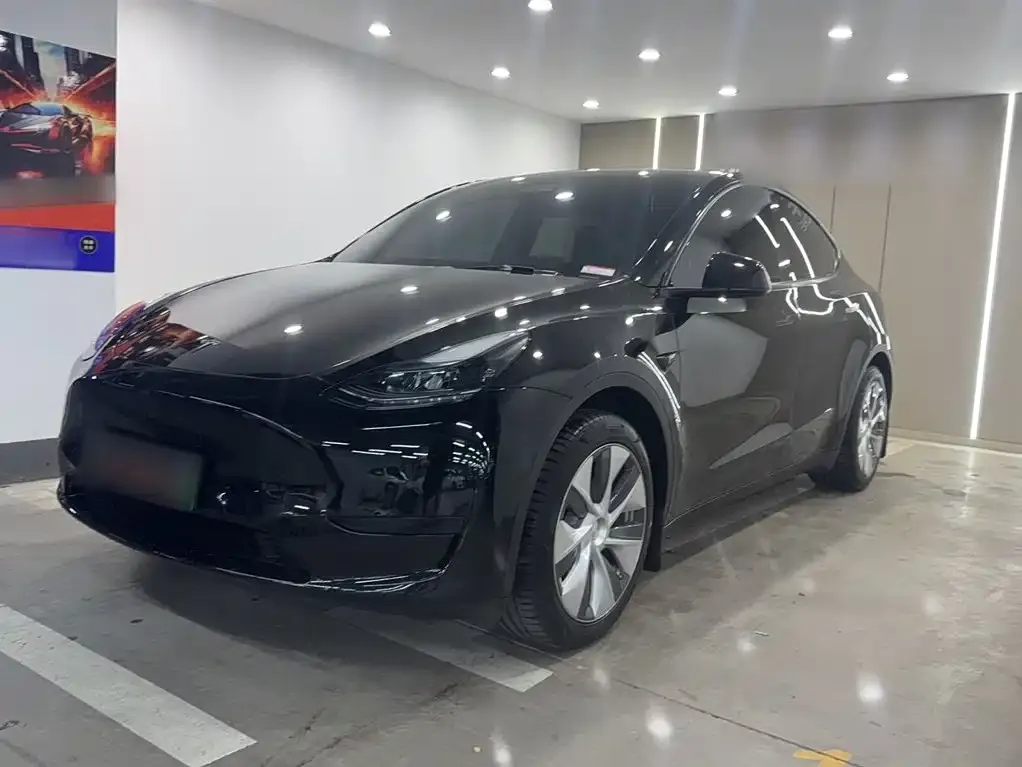Tesla Model Y — фото 2