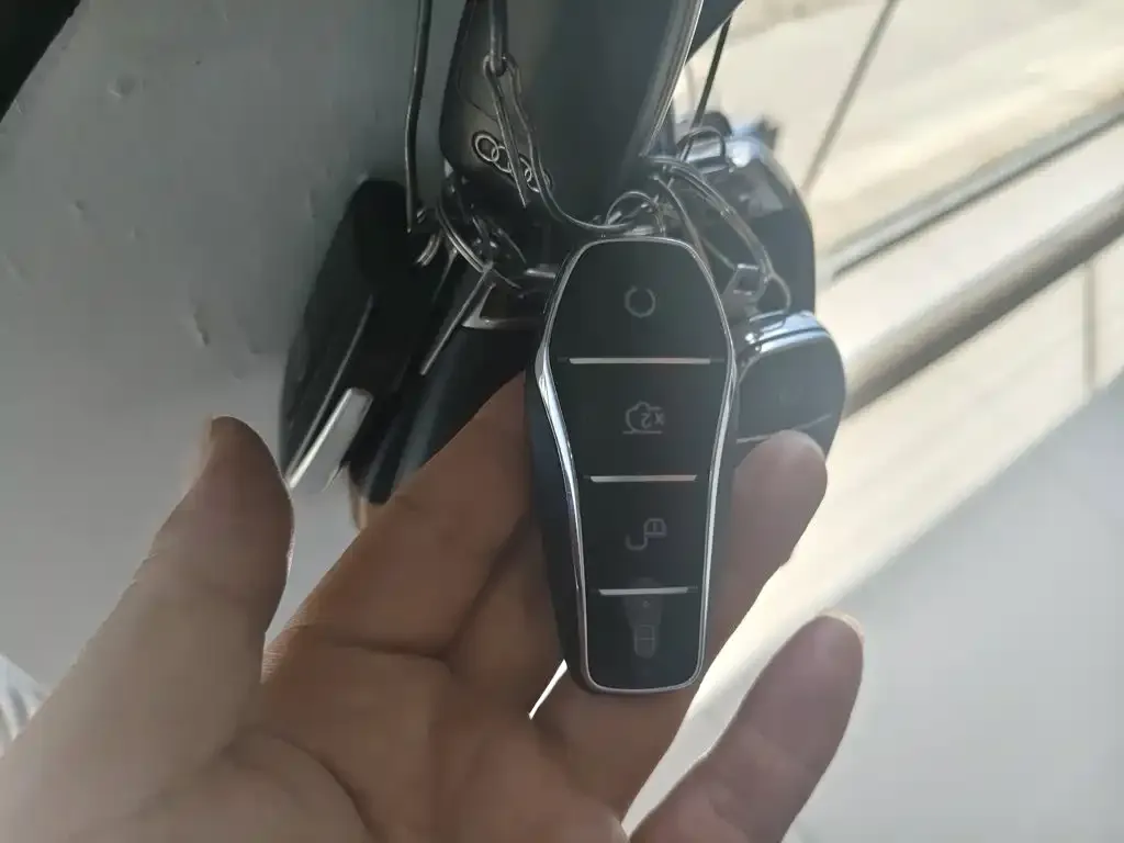 BYD L DM-i — фото 3