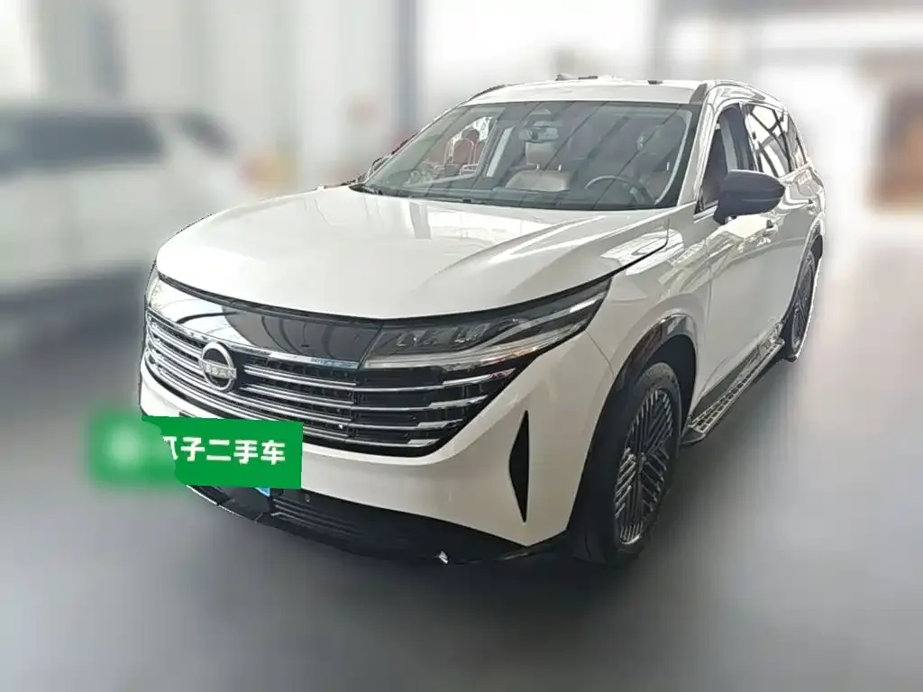 Nissan Teramont — фото 1