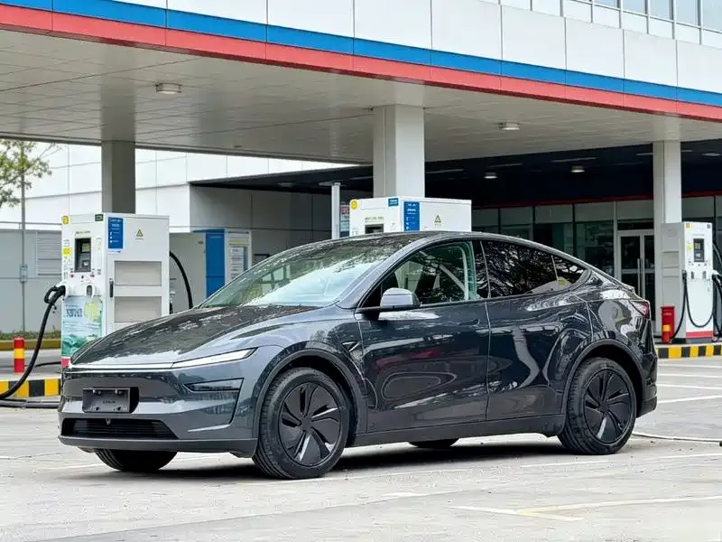 Tesla Model Y — фото 1