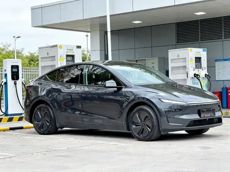 Tesla Model Y — фото 6